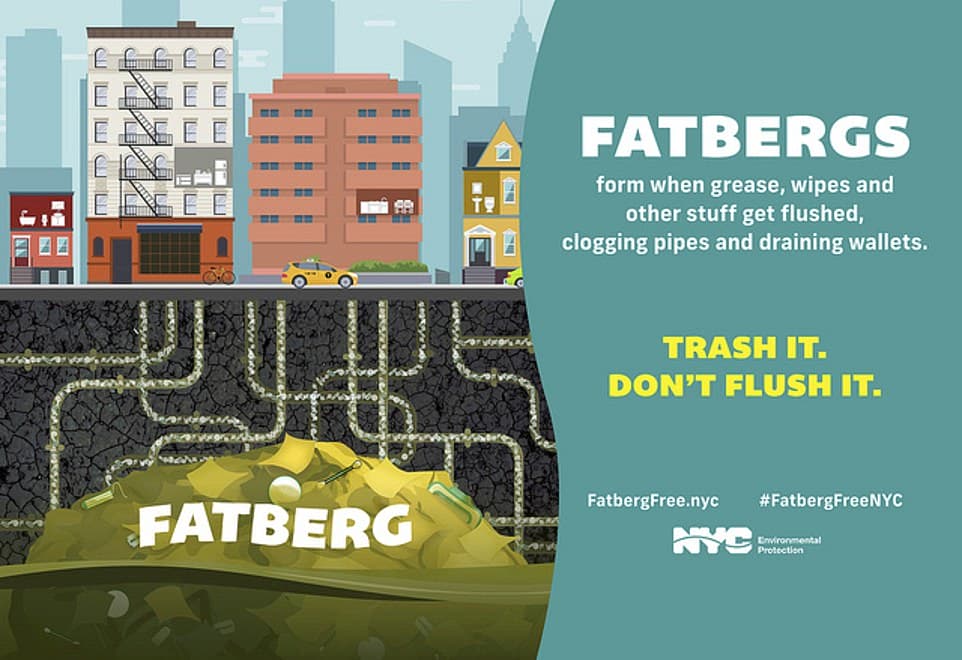 fatbergs, new york city