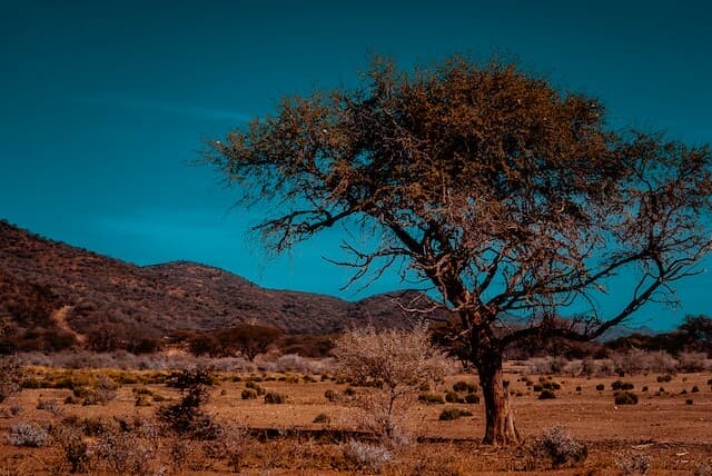 windhoek namibia