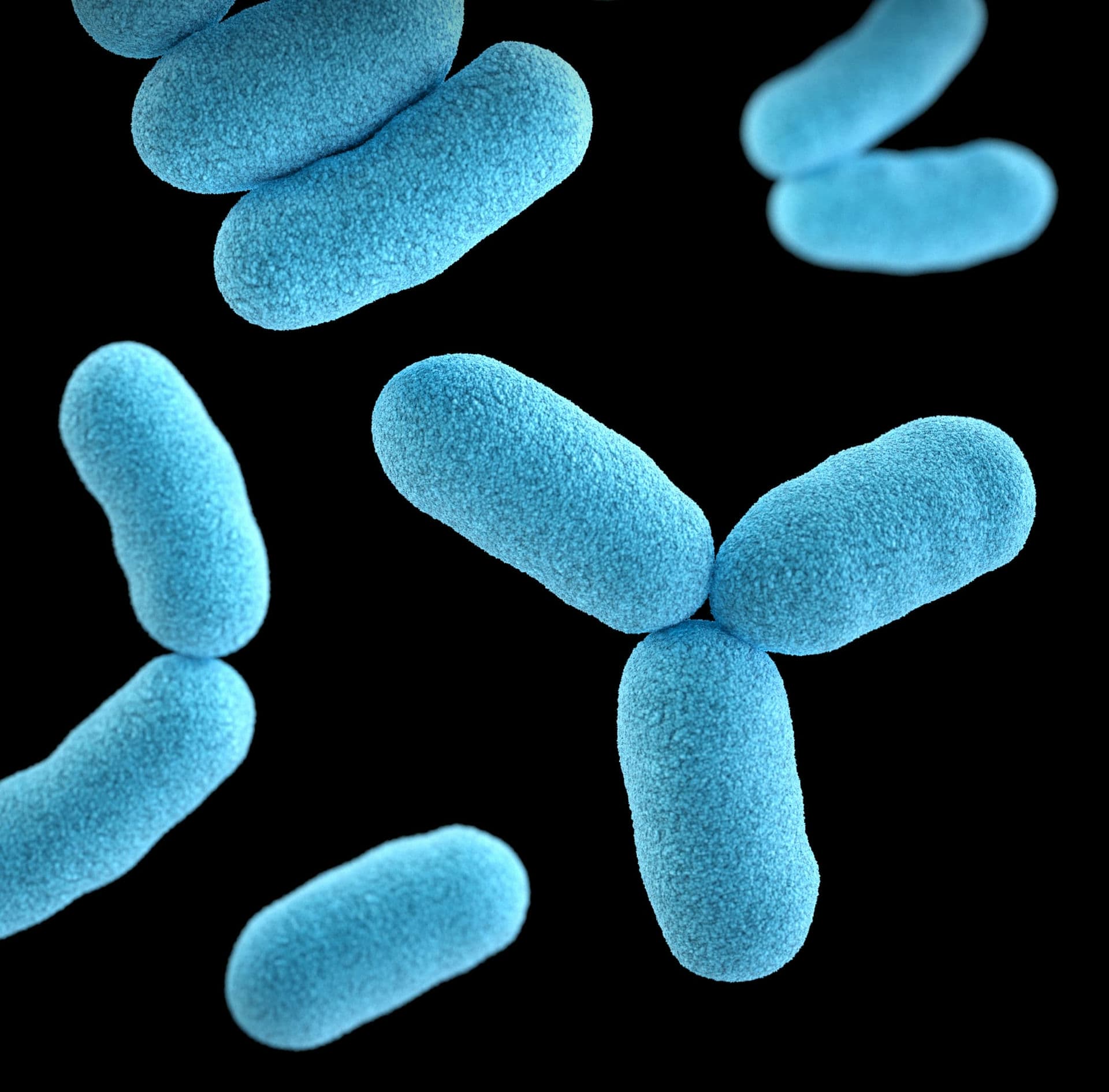micro bacteria